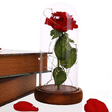 Load image into Gallery viewer, Beauty and The Beast Rose
