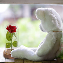 Load image into Gallery viewer, Beauty and The Beast Rose