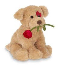 Load image into Gallery viewer, Bearington Conner Cuddlesmore Valentines Plush Stuffed Animal Puppy Dog with Rose
