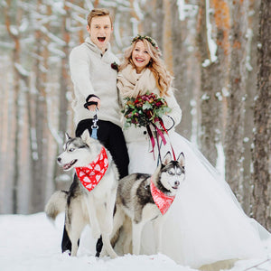 3 Pieces Valentine Dog Bandana Scarf