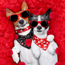 Load image into Gallery viewer, 3 Pieces Valentine Dog Bandana Scarf
