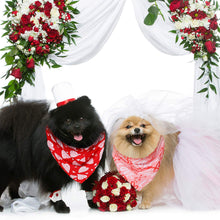 Load image into Gallery viewer, 3 Pieces Valentine Dog Bandana Scarf
