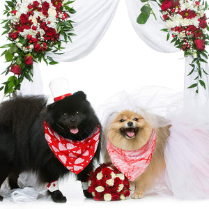 3 Pieces Valentine Dog Bandana Scarf